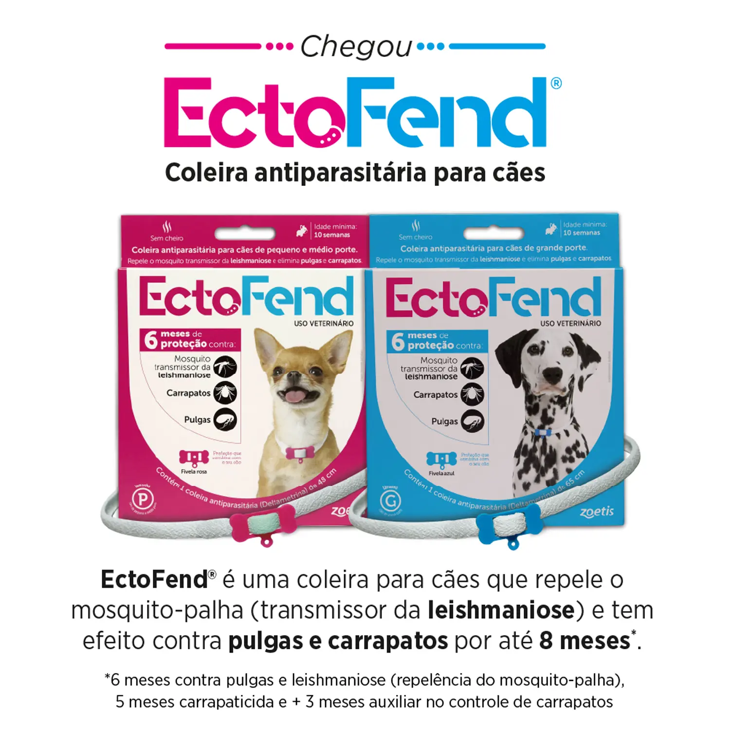 Coleira Antipulgas e Carrapatos Ectofend Azul para Cães Pequenos e Médios